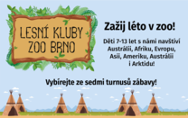 Přihlašování na Lesní kluby